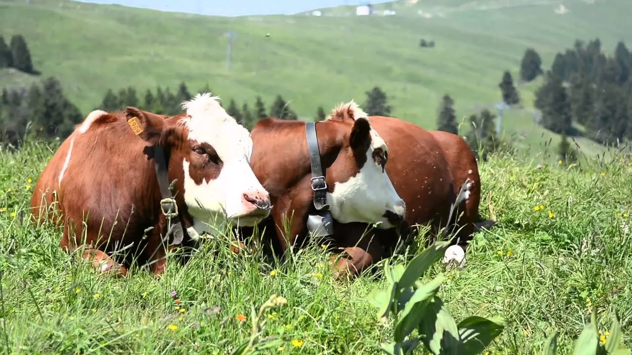 savoie insolite : 5 lieux méconnus à visiter absolument